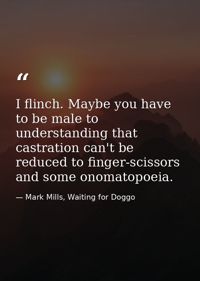 I flinch. Maybe you have to be male to understanding that castration can't be reduced to finger-scissors and some onomat — Mark Mills, Waiting for Doggo