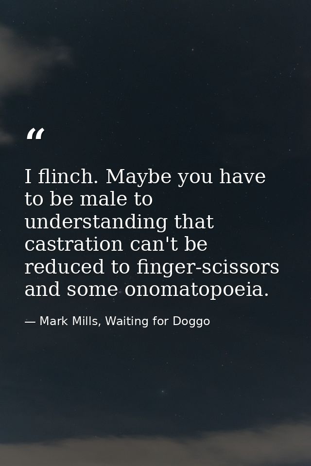 I flinch. Maybe you have to be male to understanding that castration can't be reduced to finger-scissors and some onomat — Mark Mills, Waiting for Doggo