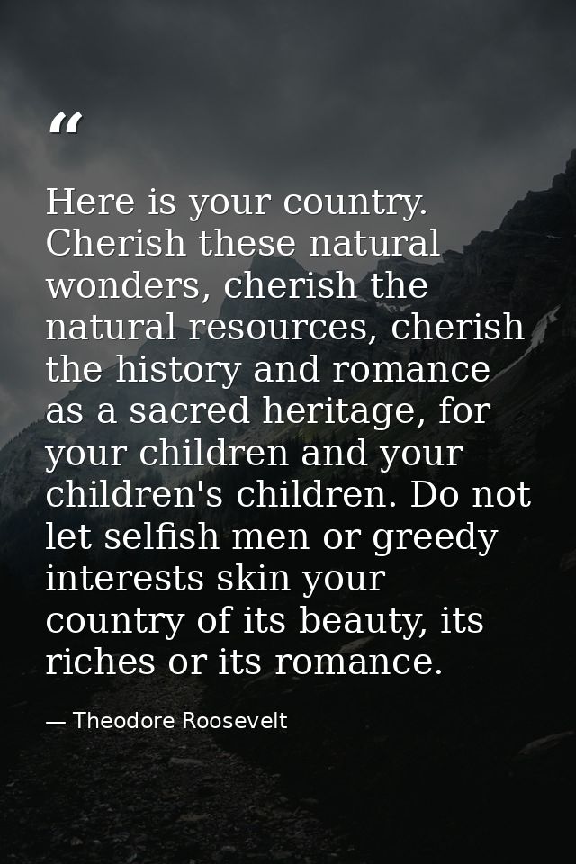 Here is your country. Cherish these natural wonders, cherish the natural resources, cherish the history and romance as a — Theodore Roosevelt