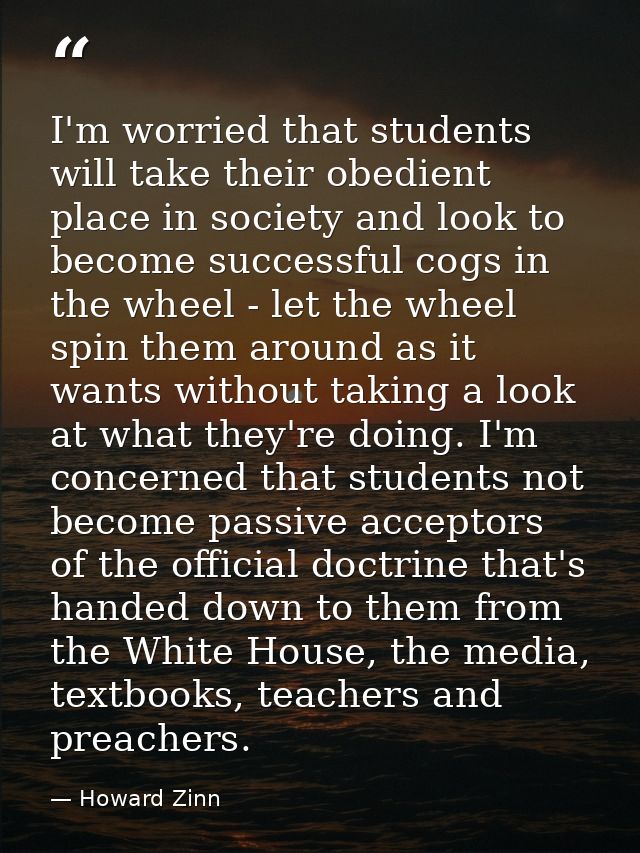 I'm worried that students will take their obedient place in society and look to become successful cogs in the wheel - le — Howard Zinn