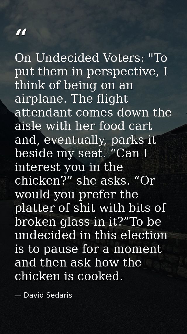 On Undecided Voter​s: "To put them in perspective, I think​ of being​ on an airplane.​ The flight attendant comes​ down  — David Sedaris