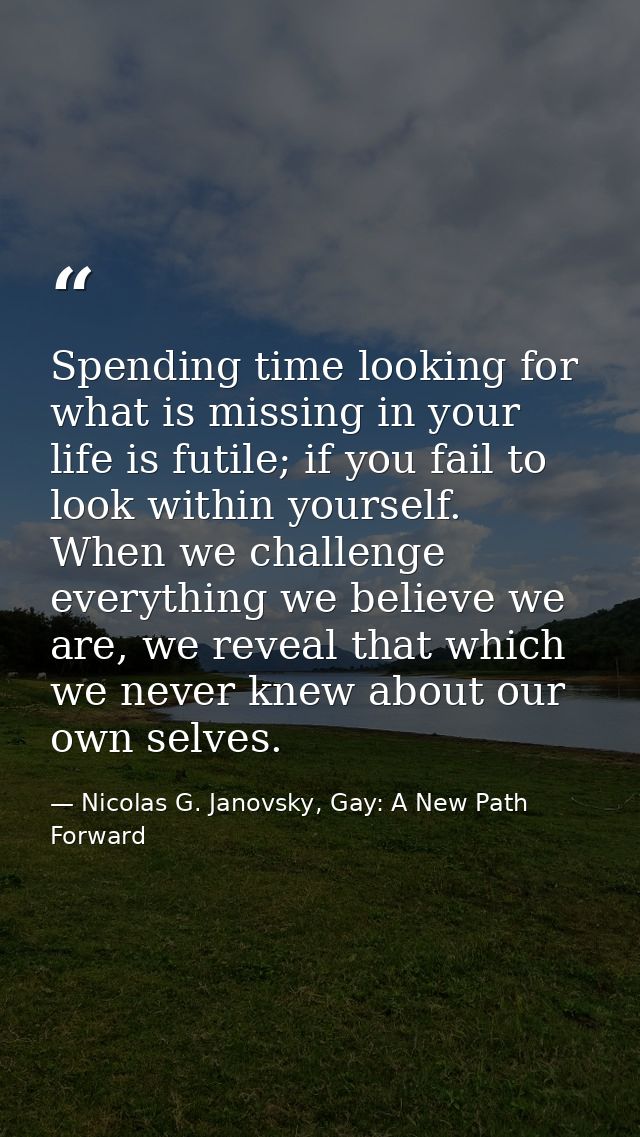 Spending time looking for what is missing in your life is futile; if you fail to look within yourself. When we challenge — Nicolas G. Janovsky, Gay: A New Path Forward