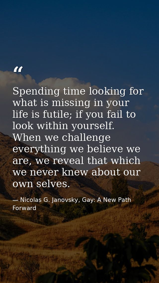 Spending time looking for what is missing in your life is futile; if you fail to look within yourself. When we challenge — Nicolas G. Janovsky, Gay: A New Path Forward