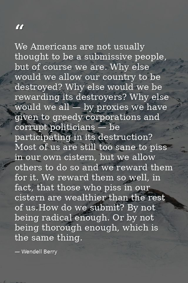 We Americans are not usually thought to be a submissive people, but of course we are. Why else would we allow our countr — Wendell Berry