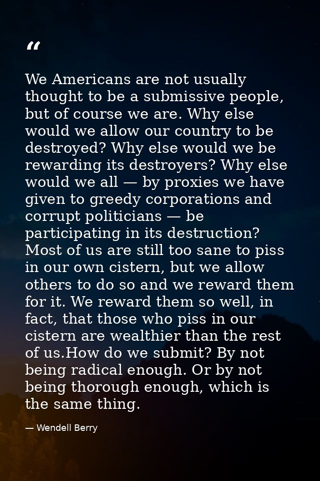 We Americans are not usually thought to be a submissive people, but of course we are. Why else would we allow our countr — Wendell Berry