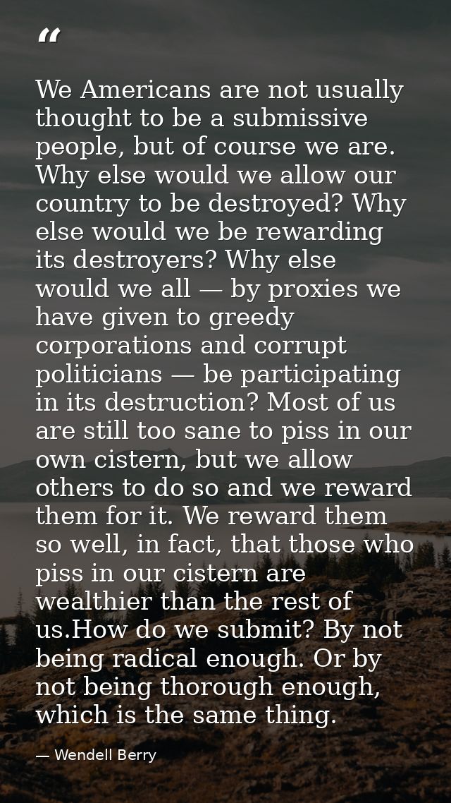 We Americans are not usually thought to be a submissive people, but of course we are. Why else would we allow our countr — Wendell Berry