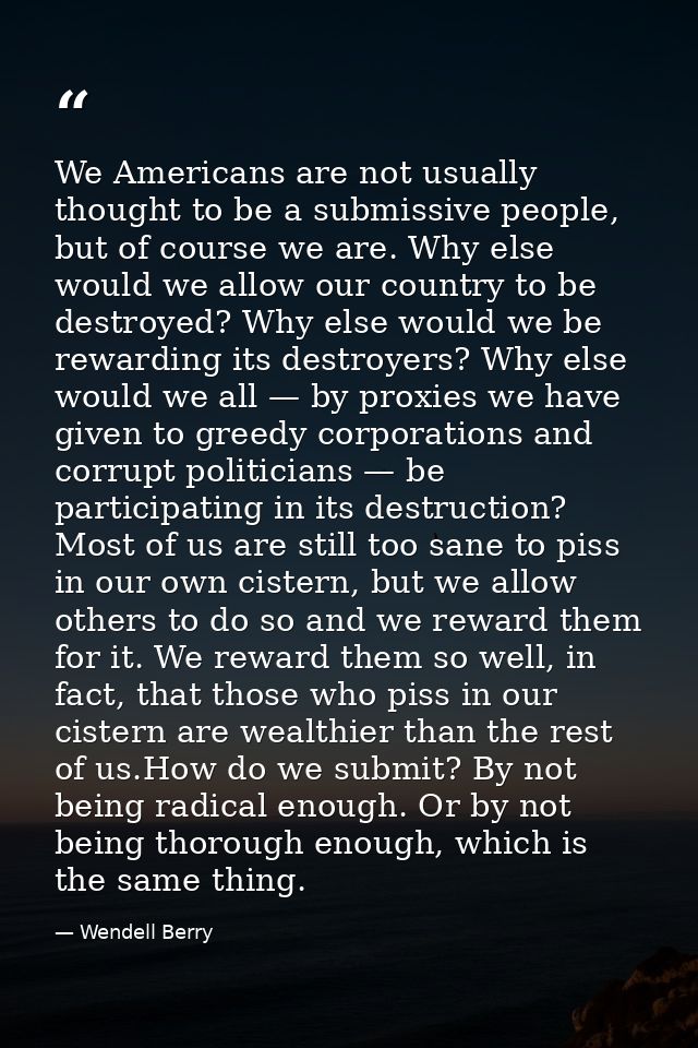We Americans are not usually thought to be a submissive people, but of course we are. Why else would we allow our countr — Wendell Berry