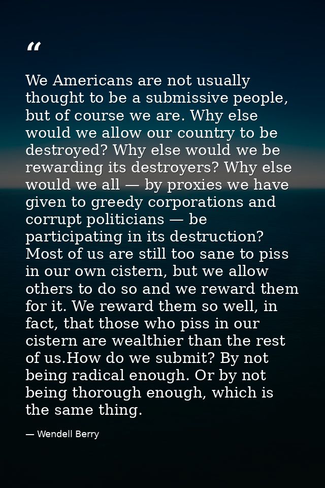 We Americans are not usually thought to be a submissive people, but of course we are. Why else would we allow our countr — Wendell Berry
