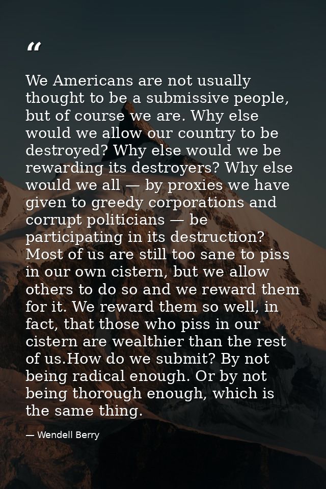 We Americans are not usually thought to be a submissive people, but of course we are. Why else would we allow our countr — Wendell Berry