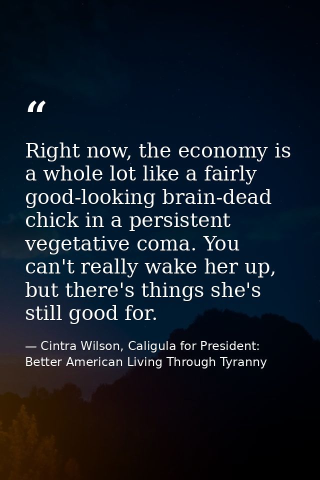 Right now, the economy is a whole lot like a fairly good-looking brain-dead chick in a persistent vegetative coma. You c — Cintra Wilson, Caligula for President: Better American Living Through Tyranny