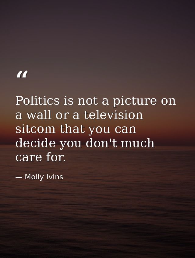 Politics is not a picture on a wall or a television sitcom that you can decide you don't much care for. — Molly Ivins