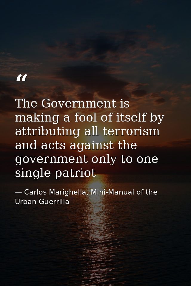 The Government is making a fool of itself by attributing all terrorism and acts against the government only to one singl — Carlos Marighella, Mini-Manual of the Urban Guerrilla