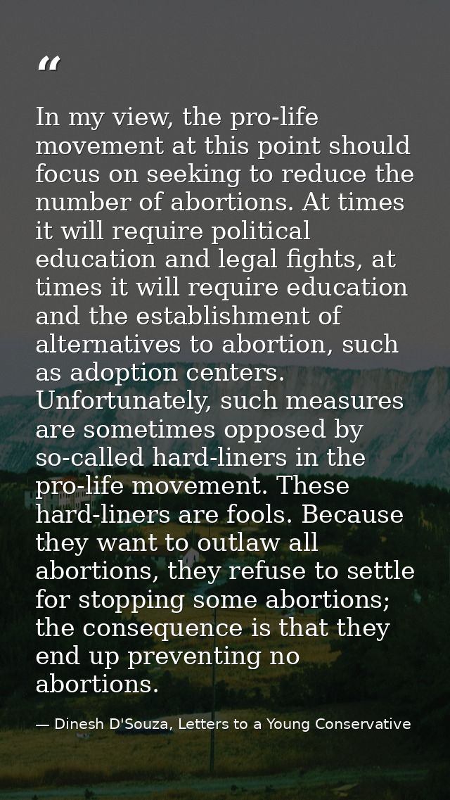 In my view, the pro-life movement at this point should focus on seeking to reduce the number of abortions. At times it w — Dinesh D'Souza, Letters to a Young Conservative