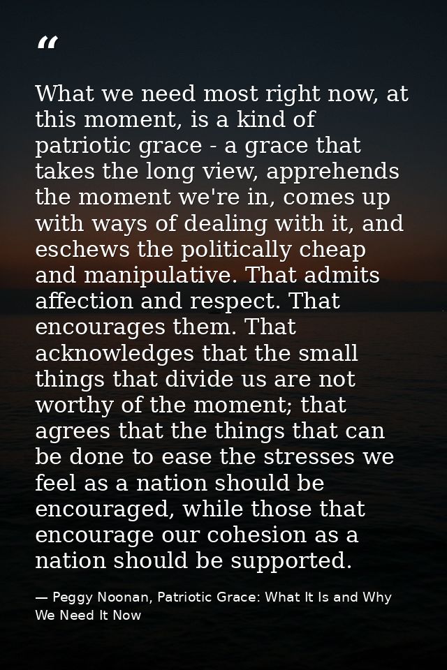 What we need most right now, at this moment, is a kind of patriotic grace - a grace that takes the long view, apprehends — Peggy Noonan, Patriotic Grace: What It Is and Why We Need It Now