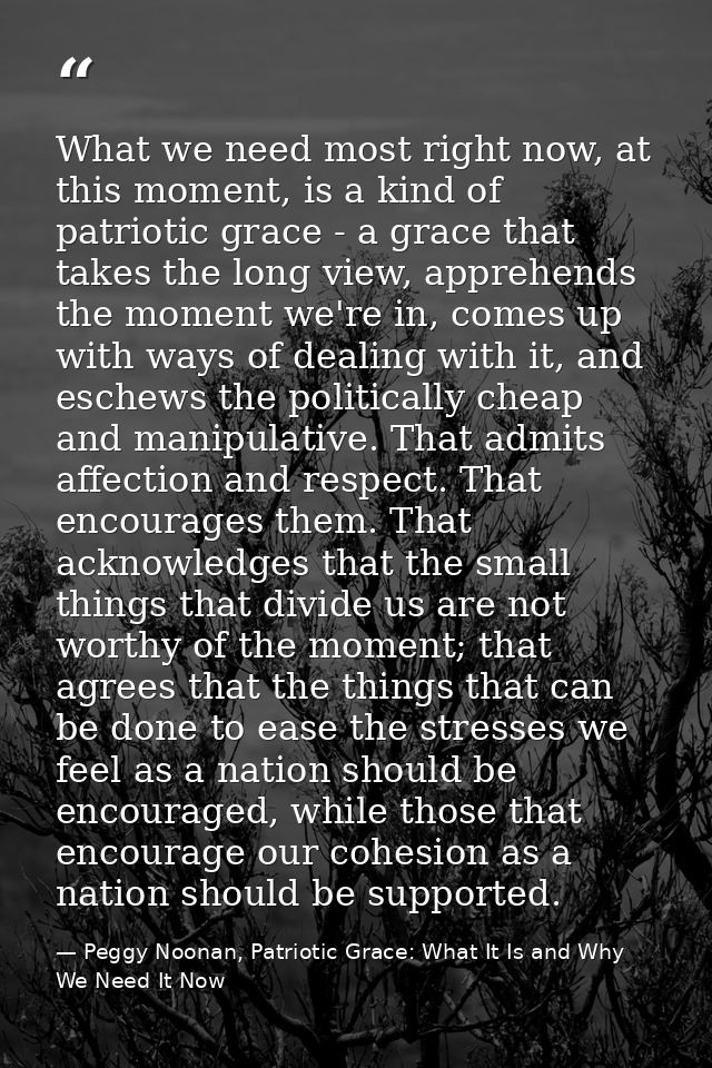 What we need most right now, at this moment, is a kind of patriotic grace - a grace that takes the long view, apprehends — Peggy Noonan, Patriotic Grace: What It Is and Why We Need It Now