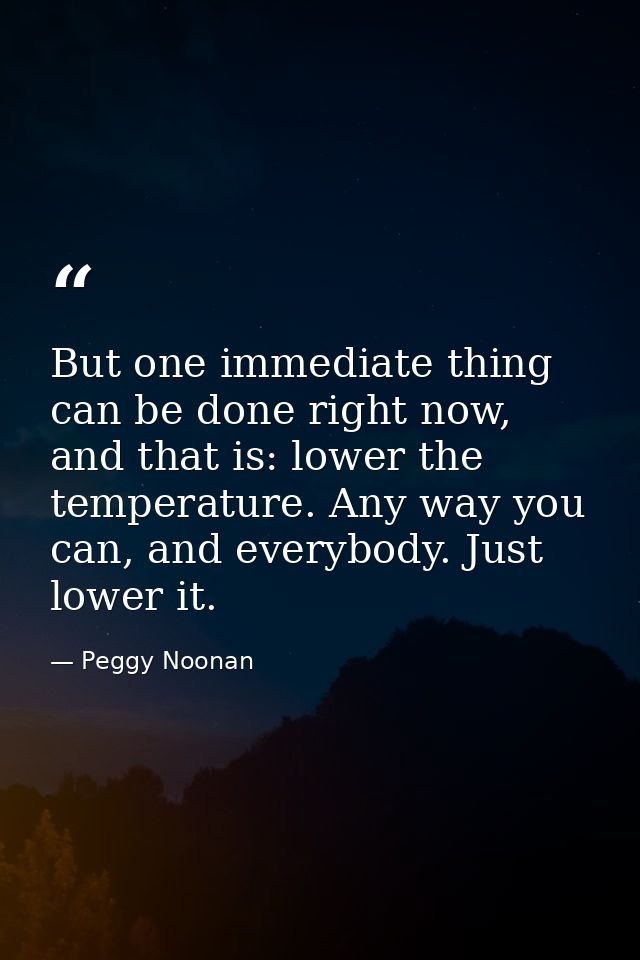 But one immediate thing can be done right now, and that is: lower the temperature. Any way you can, and everybody. Just  — Peggy Noonan