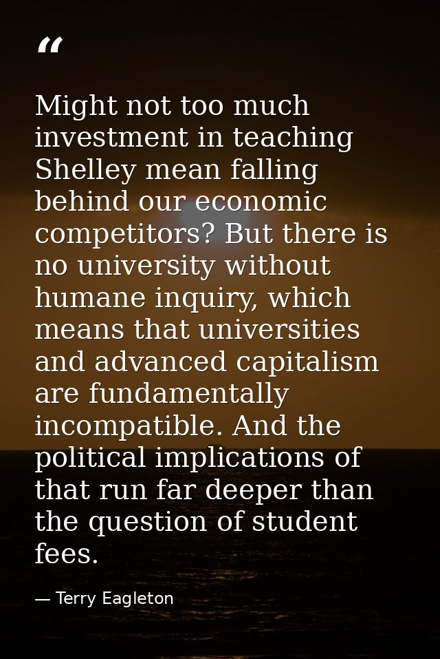 Might not too much investment in teaching Shelley mean falling behind our economic competitors? But there is no universi — Terry Eagleton