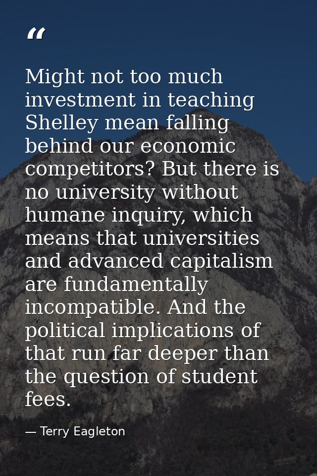 Might not too much investment in teaching Shelley mean falling behind our economic competitors? But there is no universi — Terry Eagleton