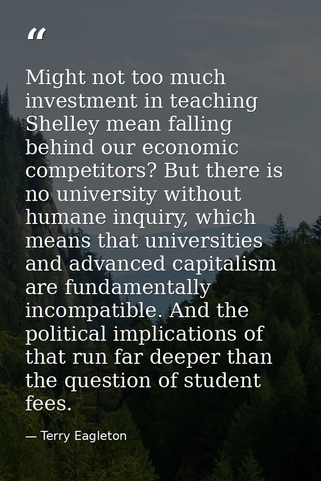 Might not too much investment in teaching Shelley mean falling behind our economic competitors? But there is no universi — Terry Eagleton
