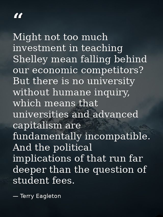 Might not too much investment in teaching Shelley mean falling behind our economic competitors? But there is no universi — Terry Eagleton