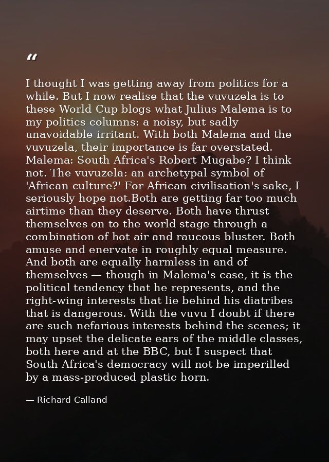 I thought I was getting away from politics for a while. But I now realise that the vuvuzela is to these World Cup blogs  — Richard Calland