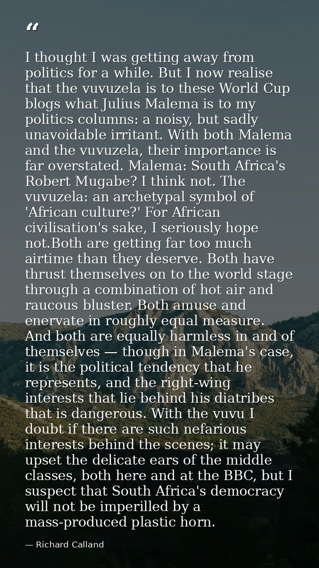 I thought I was getting away from politics for a while. But I now realise that the vuvuzela is to these World Cup blogs  — Richard Calland