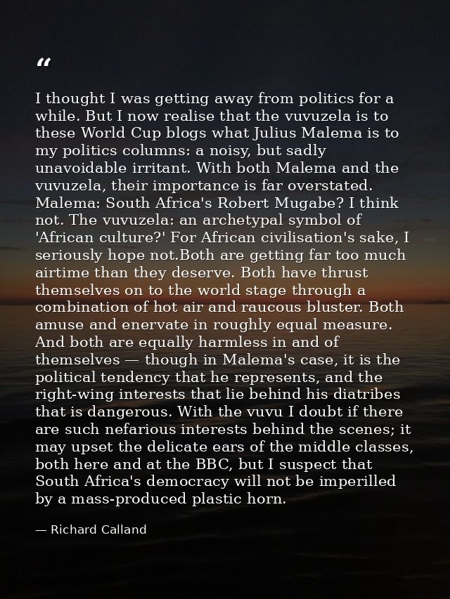 I thought I was getting away from politics for a while. But I now realise that the vuvuzela is to these World Cup blogs  — Richard Calland