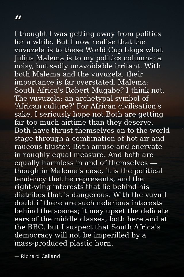 I thought I was getting away from politics for a while. But I now realise that the vuvuzela is to these World Cup blogs  — Richard Calland