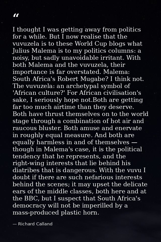 I thought I was getting away from politics for a while. But I now realise that the vuvuzela is to these World Cup blogs  — Richard Calland