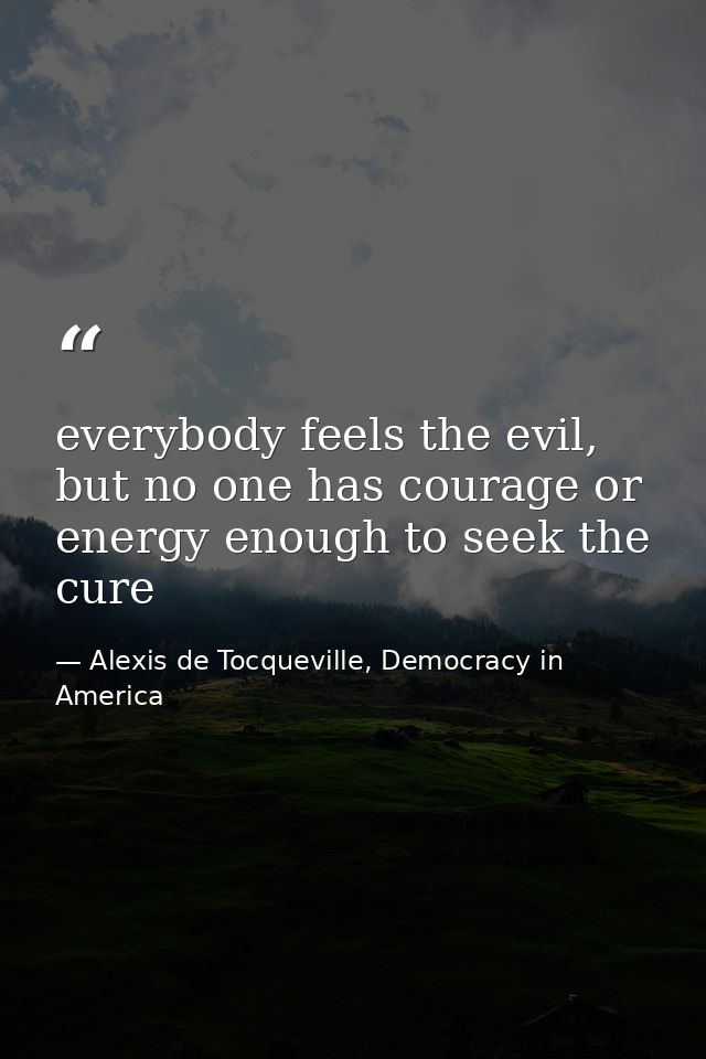 everybody feels the evil, but no one has courage or energy enough to seek the cure — Alexis de Tocqueville, Democracy in America