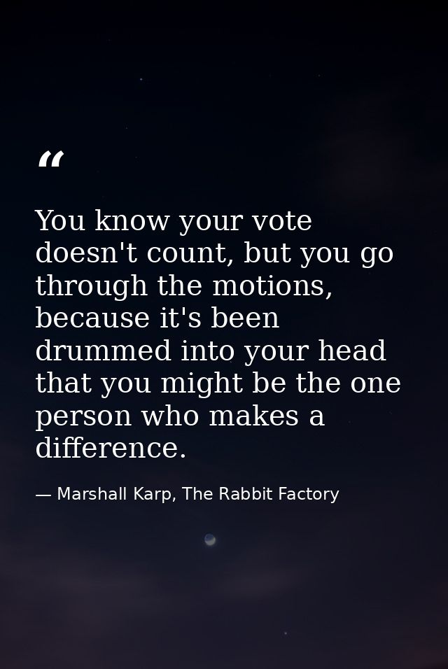 You know your vote doesn't count, but you go through the motions, because it's been drummed into your head that you migh — Marshall Karp, The Rabbit Factory