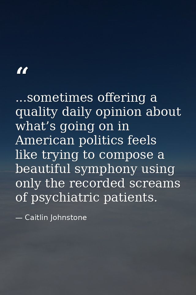 ...sometimes offering a quality daily opinion about what’s going on in American politics feels like trying to compose a  — Caitlin Johnstone