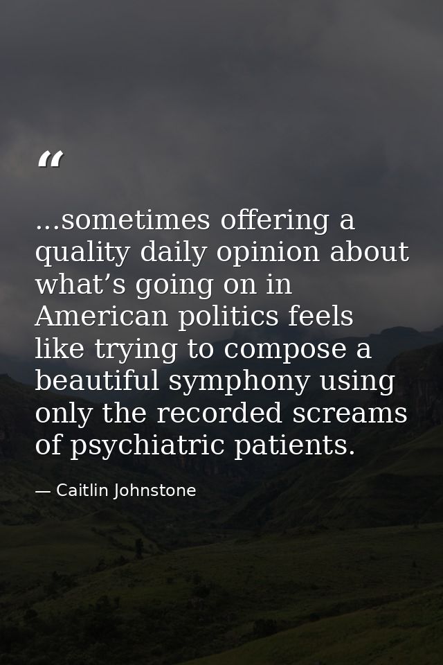 ...sometimes offering a quality daily opinion about what’s going on in American politics feels like trying to compose a  — Caitlin Johnstone