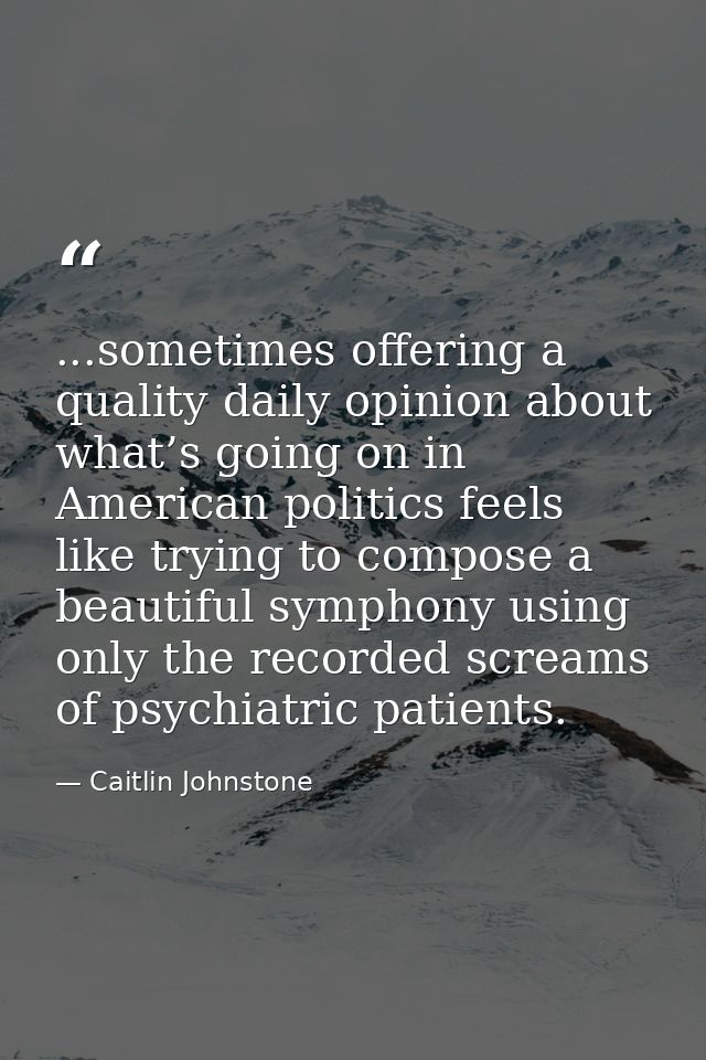 ...sometimes offering a quality daily opinion about what’s going on in American politics feels like trying to compose a  — Caitlin Johnstone