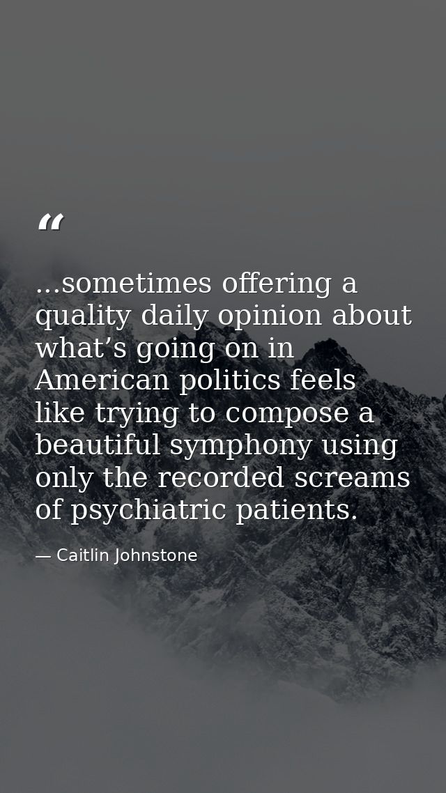 ...sometimes offering a quality daily opinion about what’s going on in American politics feels like trying to compose a  — Caitlin Johnstone