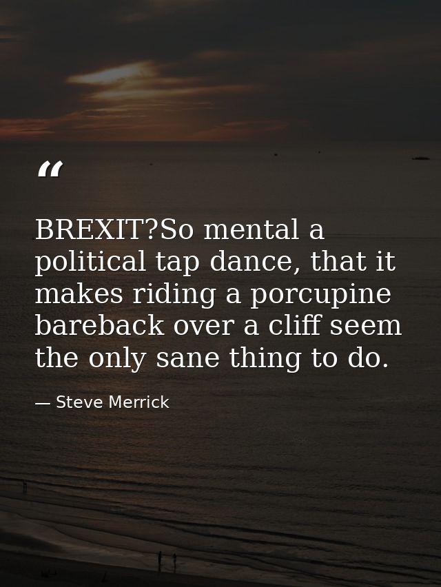 BREXIT?So mental a political tap dance, that it makes riding a porcupine bareback over a cliff seem the only sane thing  — Steve Merrick