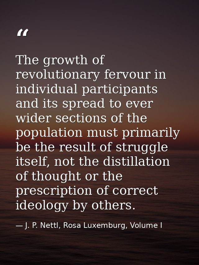 The growth of revolutionary fervour in individual participants and its spread to ever wider sections of the population m — J. P. Nettl, Rosa Luxemburg, Volume I