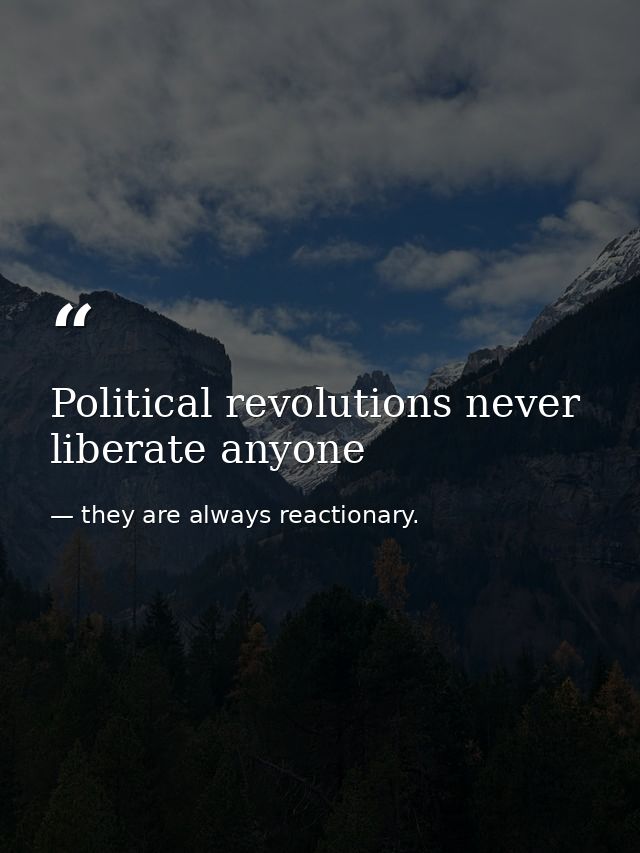 Political revolutions never liberate anyone — they are always reactionary.