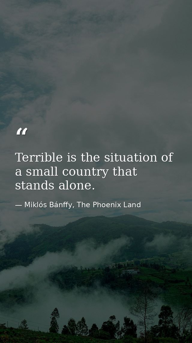 Terrible is the situation of a small country that stands alone. — Miklós Bánffy, The Phoenix Land