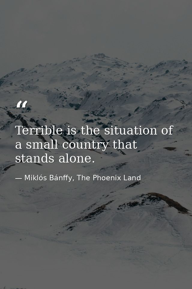Terrible is the situation of a small country that stands alone. — Miklós Bánffy, The Phoenix Land