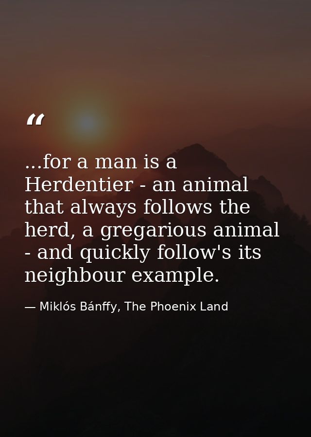 ...for a man is a Herdentier - an animal that always follows the herd, a gregarious animal - and quickly follow's its ne — Miklós Bánffy, The Phoenix Land