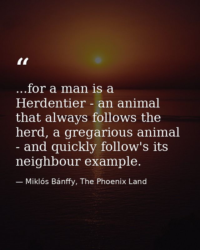 ...for a man is a Herdentier - an animal that always follows the herd, a gregarious animal - and quickly follow's its ne — Miklós Bánffy, The Phoenix Land