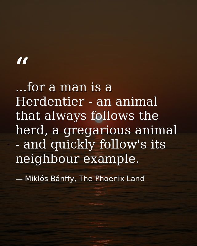 ...for a man is a Herdentier - an animal that always follows the herd, a gregarious animal - and quickly follow's its ne — Miklós Bánffy, The Phoenix Land
