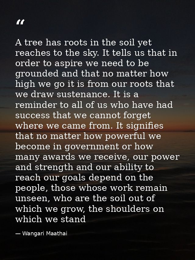 A tree has roots in the soil yet reaches to the sky. It tells us that in order to aspire we need to be grounded and that — Wangari Maathai