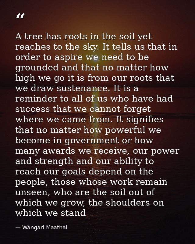 A tree has roots in the soil yet reaches to the sky. It tells us that in order to aspire we need to be grounded and that — Wangari Maathai
