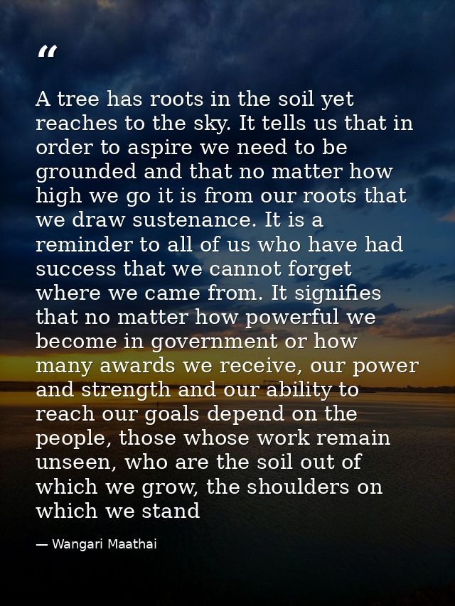 A tree has roots in the soil yet reaches to the sky. It tells us that in order to aspire we need to be grounded and that — Wangari Maathai