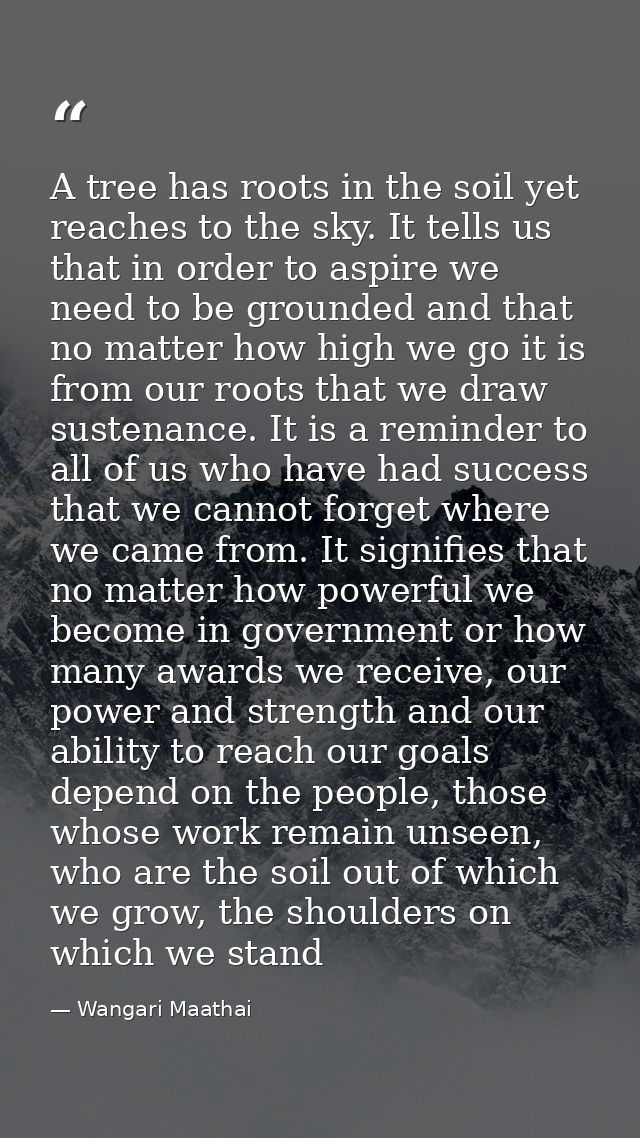 A tree has roots in the soil yet reaches to the sky. It tells us that in order to aspire we need to be grounded and that — Wangari Maathai