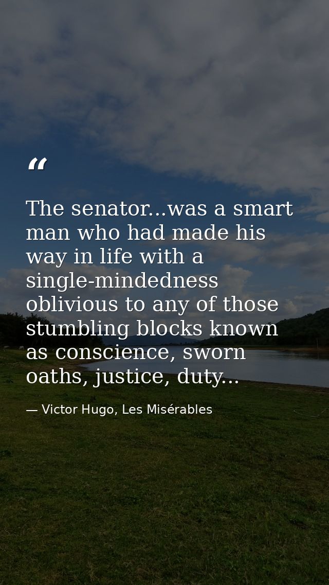 The senator...was a smart man who had made his way in life with a single-mindedness oblivious to any of those stumbling  — Victor Hugo, Les Misérables