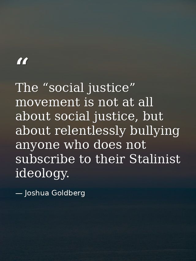 The “social justice” movement is not at all about social justice, but about relentlessly bullying anyone who does not su — Joshua Goldberg