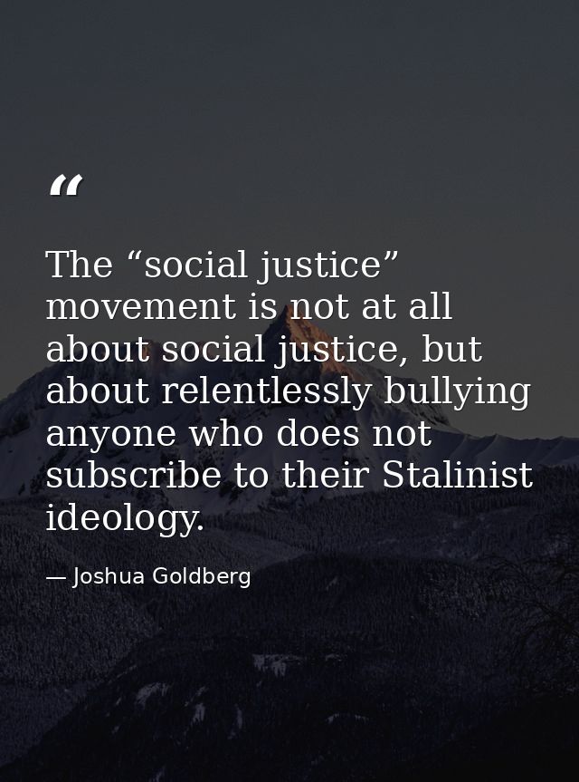 The “social justice” movement is not at all about social justice, but about relentlessly bullying anyone who does not su — Joshua Goldberg
